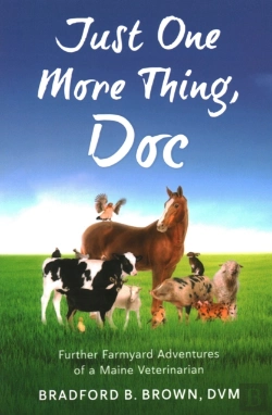 Bertrand.pt - Just One More Thing, Doc