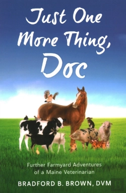 Bertrand.pt - Just One More Thing, Doc