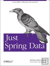 Just Spring Data