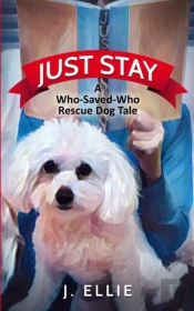 Just Stay