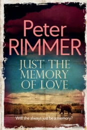 Just The Memory Of Love