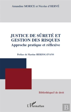 Bertrand.pt - Justice De Sûreté Et Gestion Des Risques ; Approche Pratique Et Réflexive
