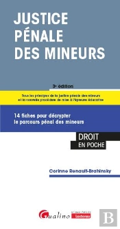 Justice Penale Des Mineurs, 3eme Edition - 13 Fiches Pour Decrypter Le Parcours Penal Des Mineurs