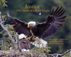 Bertrand.pt - Justice--The Story Of A Bald Eagle