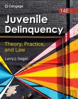 Bertrand.pt - Juvenile Delinquency: Theory, Practice, And Law