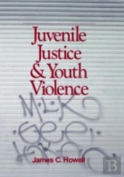 Juvenile Justice And Youth Violence