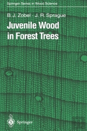 Juvenile Wood In Forest Trees