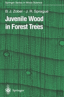 Bertrand.pt - Juvenile Wood In Forest Trees