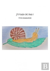 J'Y Vais Ou Pas ?
