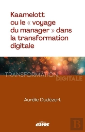 Kaamelott Ou Le « Voyage Du Manager » Dans La Transformation Digitale