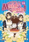 Kaicho Wa Maid-Sama 14