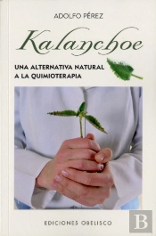 Kalanchoe (Bolsillo)