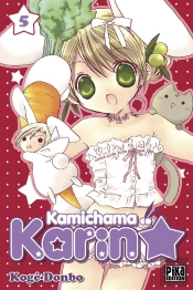 Kamichama Karin T.5