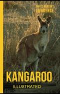 Kangaroo Illustrated