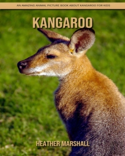 Bertrand.pt - Kangaroo