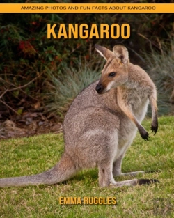 Bertrand.pt - Kangaroo
