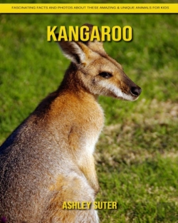 Bertrand.pt - Kangaroo