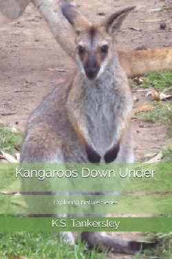 Bertrand.pt - Kangaroos Down Under