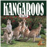 Kangaroos For Kids