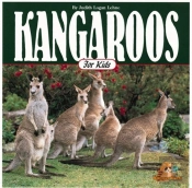 Kangaroos For Kids