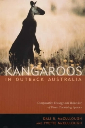 Kangaroos In Outback Australia