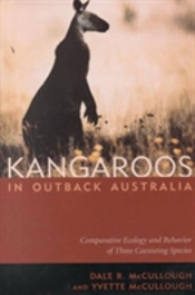 Kangaroos In Outback Australia