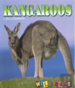 Kangaroos