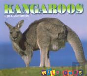 Kangaroos