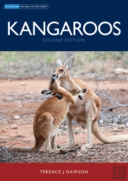 Bertrand.pt - Kangaroos