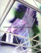 Katharina Grosse; Atoms Inside Balloons