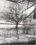 Katie Holten: Paths Of Desire