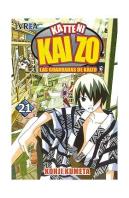 Katteni Kaizo 21, Las Guarradas De Kaizo