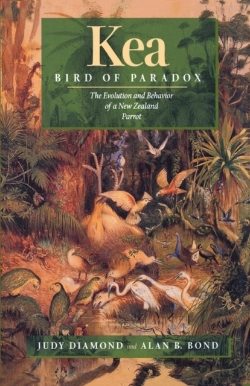 Bertrand.pt - Kea, Bird Of Paradox