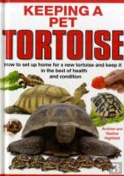 Bertrand.pt - Keeping A Pet Tortoise