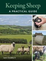Keeping Sheep