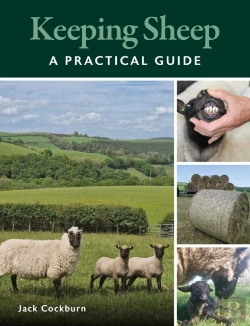 Bertrand.pt - Keeping Sheep