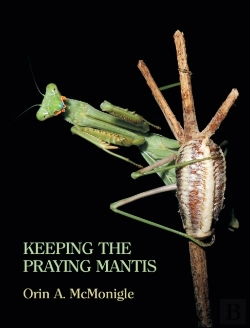 Bertrand.pt - Keeping The Praying Mantis