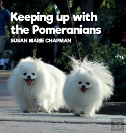 Bertrand.pt - Keeping Up With The Pomeranians