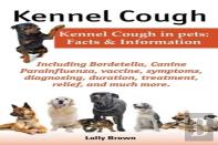 Kennel Cough. Including Symptoms, Diagnosing, Duration, Treatment, Relief, Bordetella, Canine Parainfluenza, Vaccine, And Much More. Kennel Cough In Pets