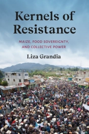 Kernels Of Resistance
