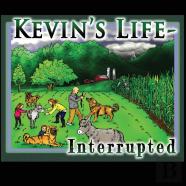 Kevin'S Life Interrupted