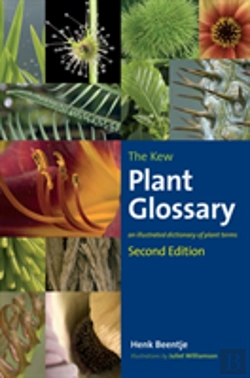 Bertrand.pt - Kew Plant Glossary, The