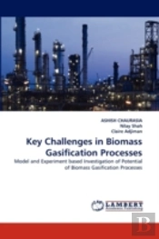 Key Challenges In Biomass Gasification Processes