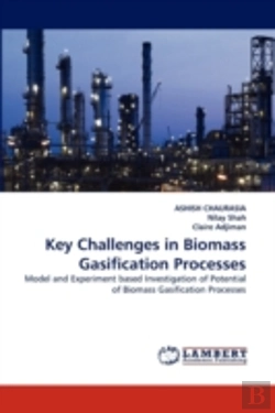 Bertrand.pt - Key Challenges In Biomass Gasification Processes