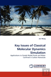 Key Issues Of Classical Molecular Dynamics Simulation