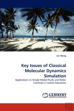 Bertrand.pt - Key Issues Of Classical Molecular Dynamics Simulation