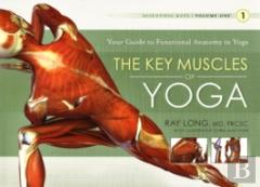Key Muscles Of Yoga: Your Guide To Functional Anatomy In Yoga