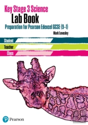 Key Stage 3 Science Lab Book For Edexcel Ebook