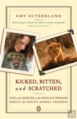 Bertrand.pt - Kicked, Bitten, And Scratched
