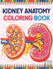 Kidney Anatomy Coloring Book